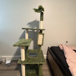 Cat Tree