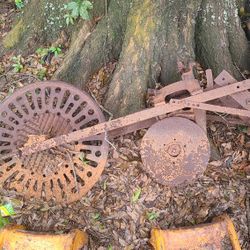 Antique 