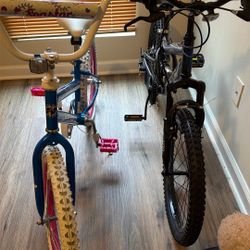 2 Bikes For Sale 