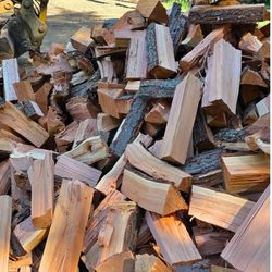 Dry fire wood