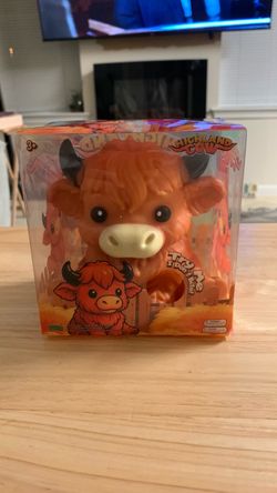 Highland cow