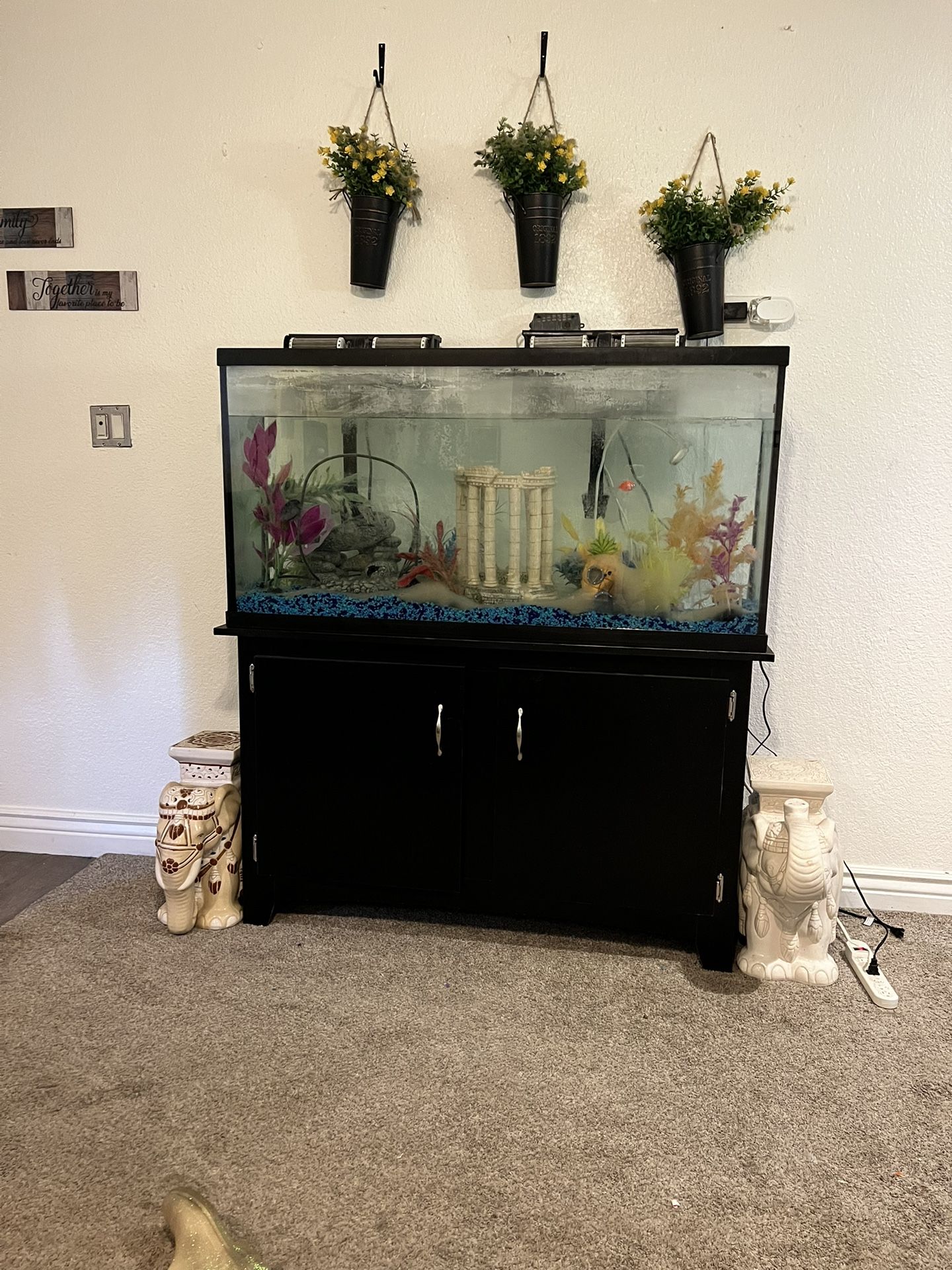 FISH TANK