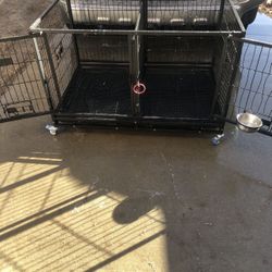 Dog Cage 