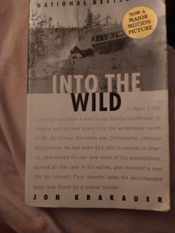 Into The Wild 