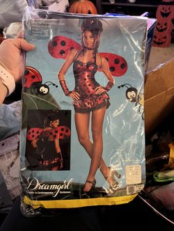 Ladybug Costume Plus 