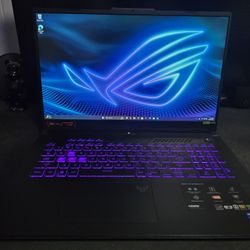 17" Asus RTX 4060 Intel Core i7-13700H gaming laptop