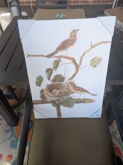 Bird with nest