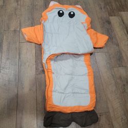 Sleeping Bag 