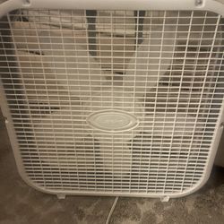 Lasko Fan White - 20inch