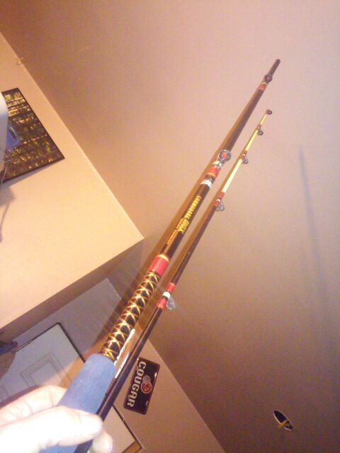 Fishing rod Abu Garcia Commodore max