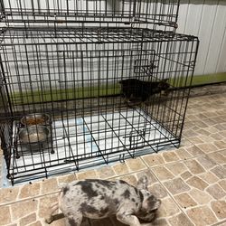 Dog Cage Dog Crate Jaula De Perros Specially For Frenchies Or Bulldogs 