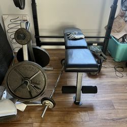 Weight Bench, Bar, Plates, Dumbbells 🏋🏽‍♀️