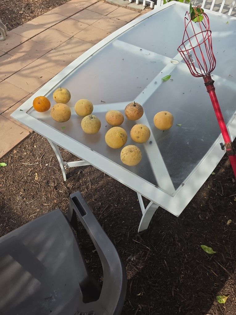 Pomellos