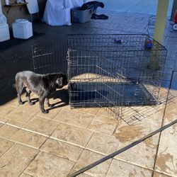 Cage For Dogs 36x22x24 With 2 Doors