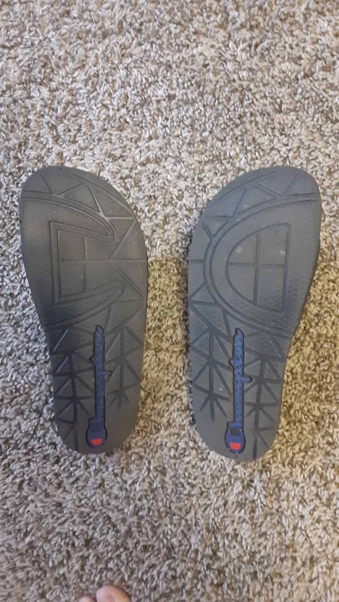 Champion slides