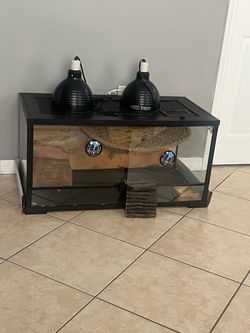 Bearded dragon cage