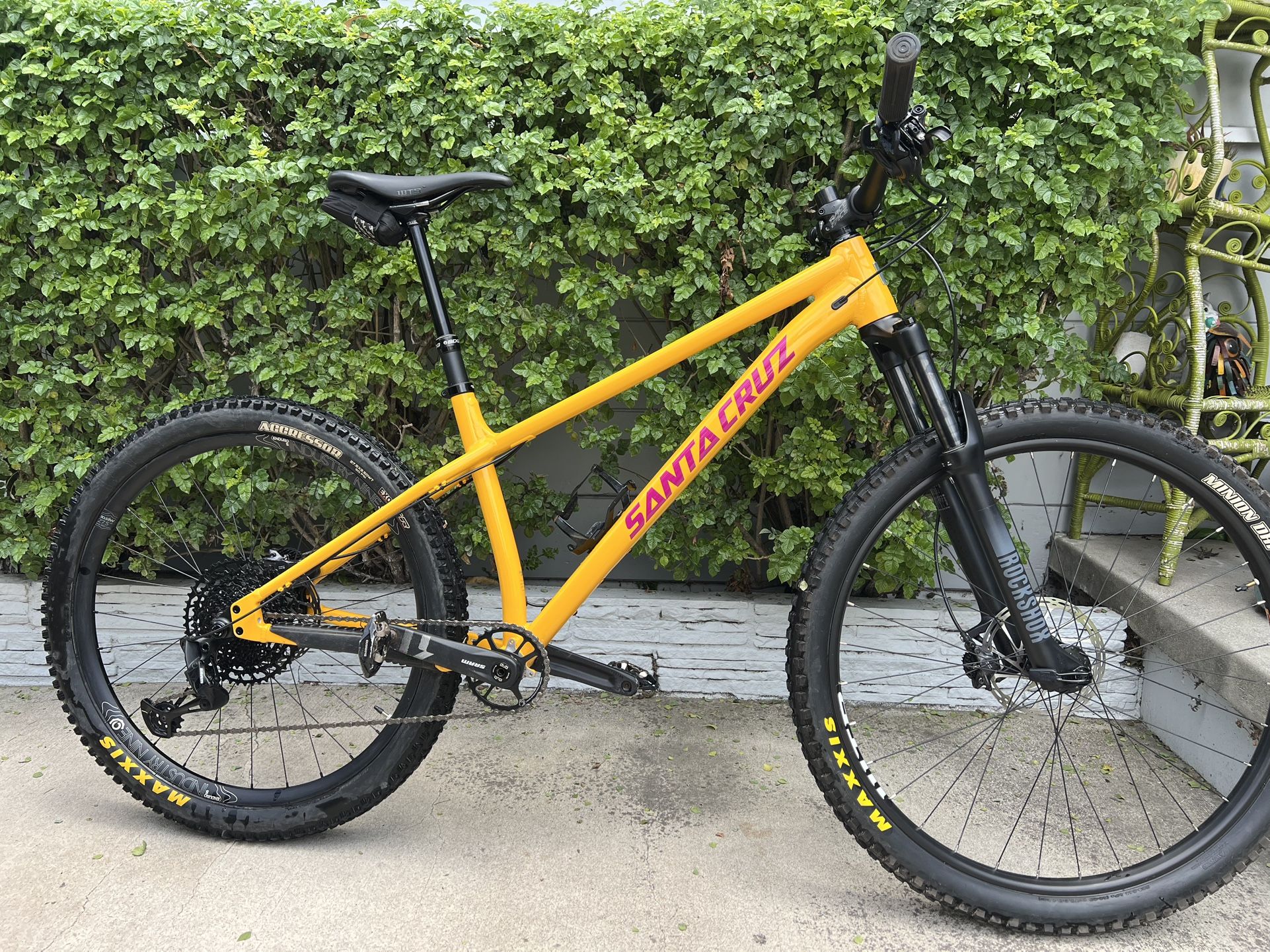 Santa Cruz Chameleon (L)
