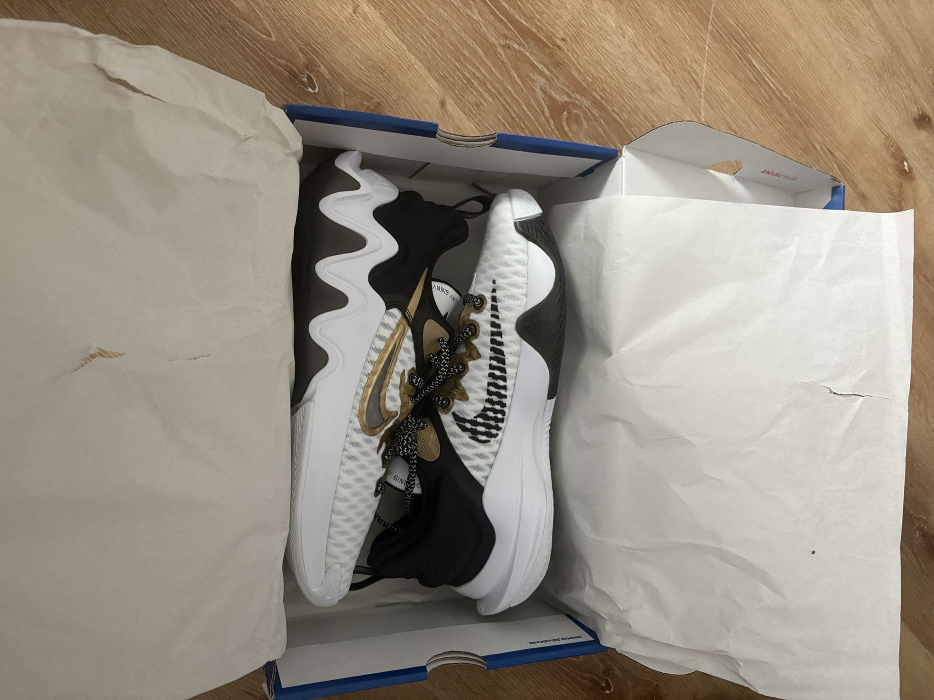 Nike Giannis Immortality EP Championship