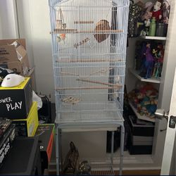 Bird Parrot Cage