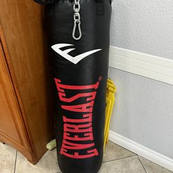 Everlast Punching Bag 100lbs
