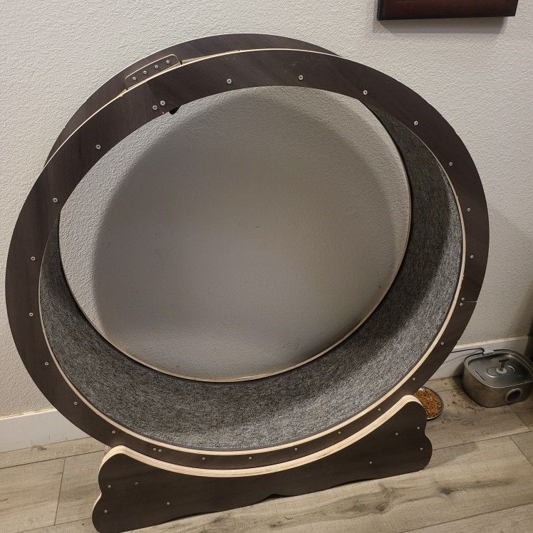 Cat Wheel