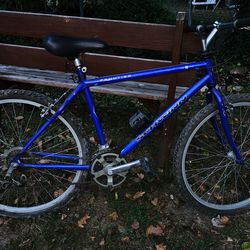 Schwinn mountain bike