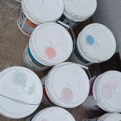 Behr Paint