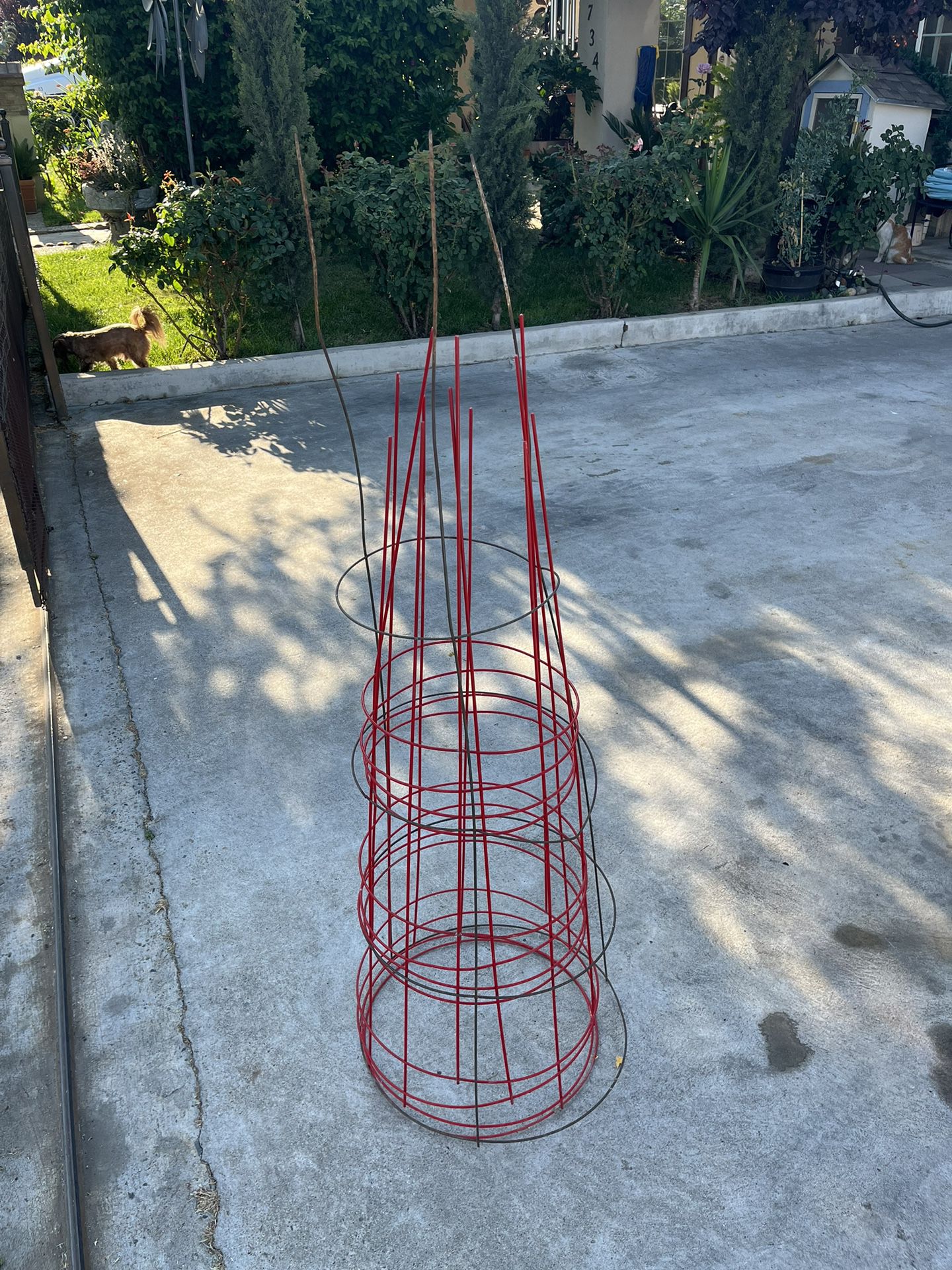 Tomato Cage 