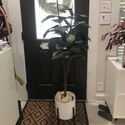 Faux Indoor Potted Plant 5ft