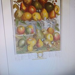 1732 Fruit Picture For Sale 