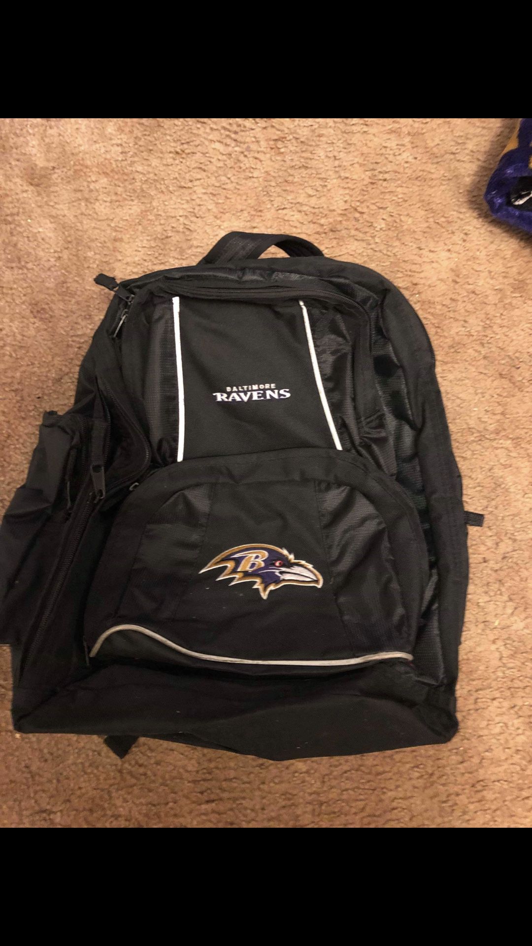 Ravens book bag