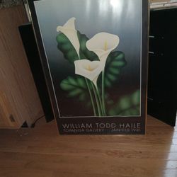 36.5 X 24.5 WILLIAM  TODD HAILE Jan-Feb 1981 Calilillies Glass Framed Picture