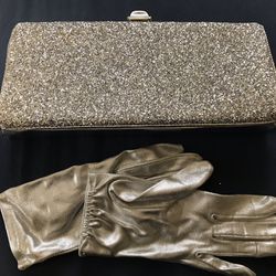 Silver Glitter Clutch With Silky Silver Gloves
