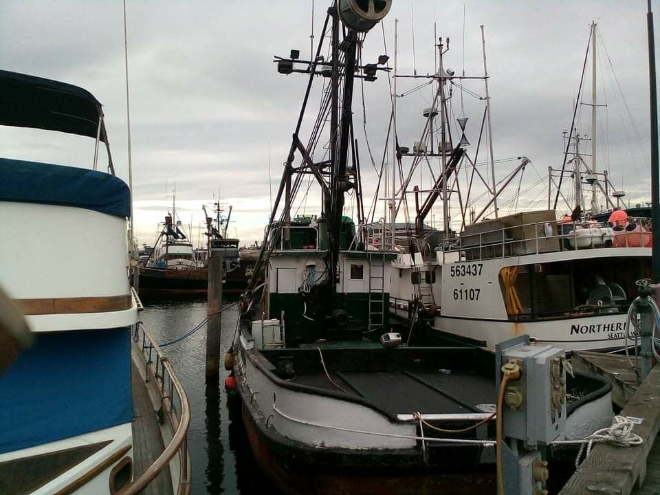 Ships Ahoy!