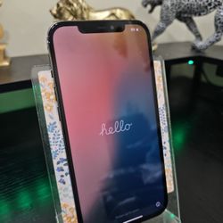 Unlocked Iphone 12 Pro Max 