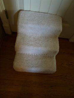 Small dog steps