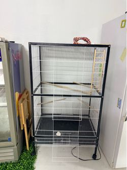 Bird cage big
