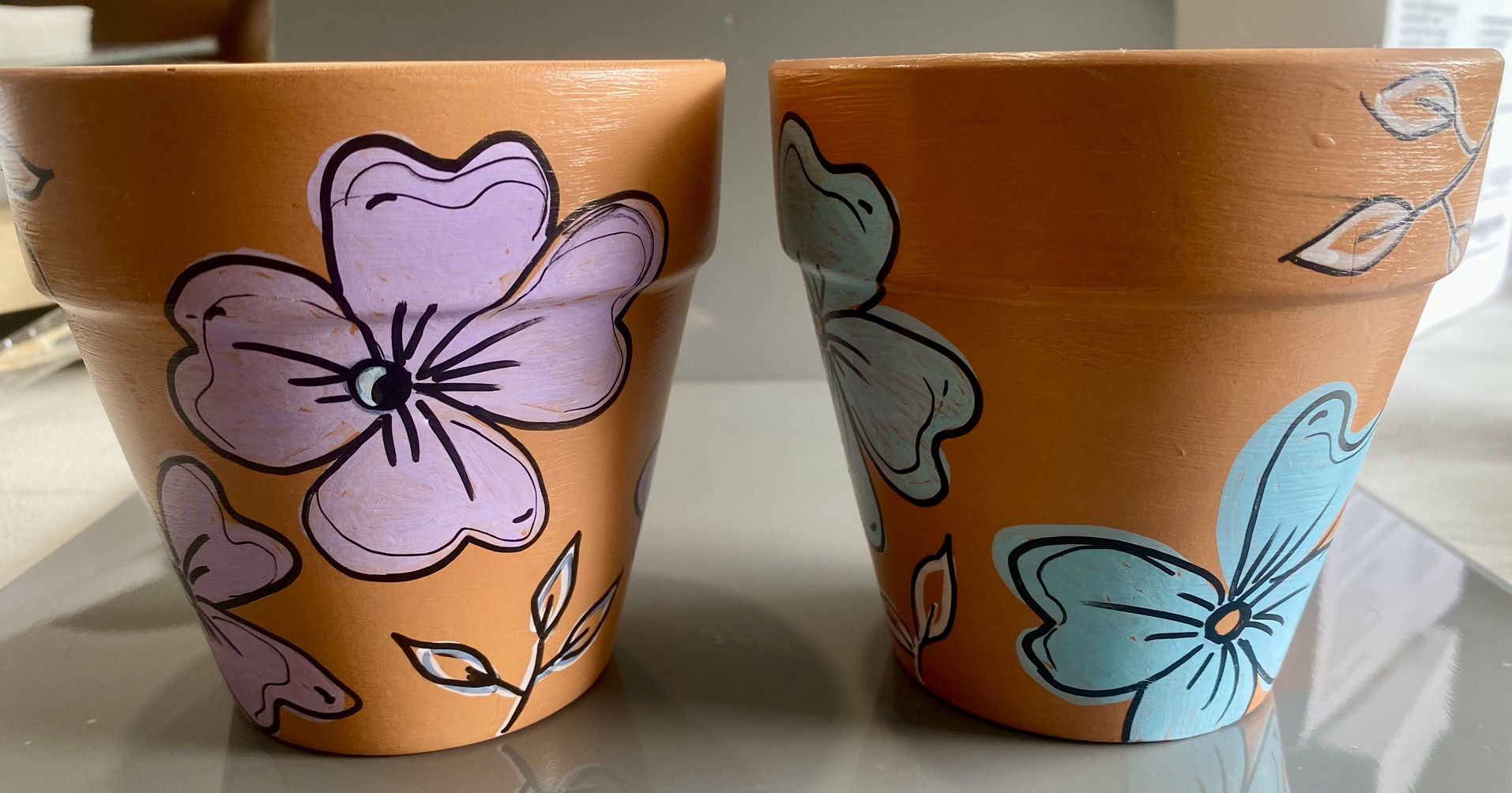 2 Flower Pots