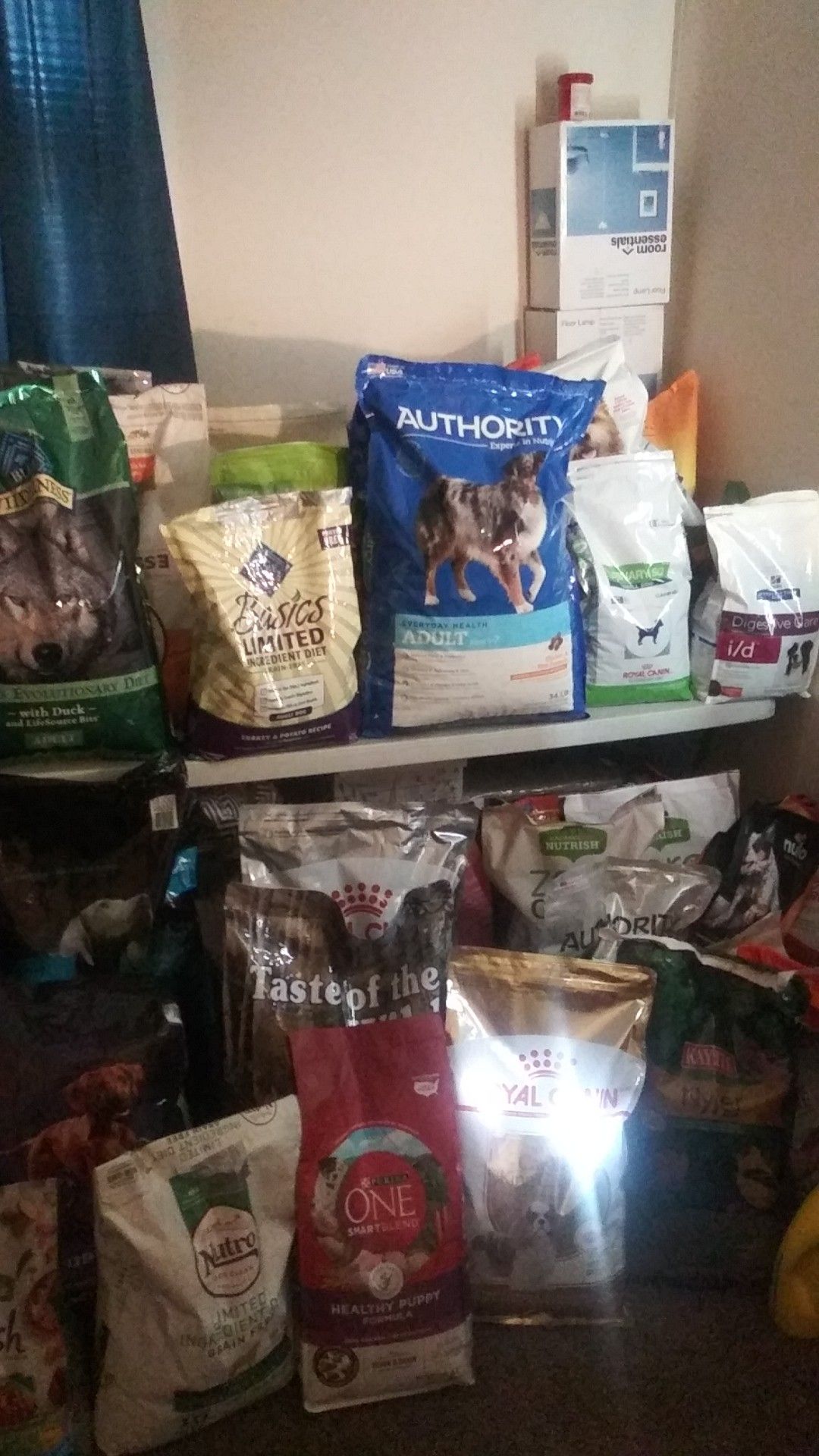 Dog cat and bird food accessories