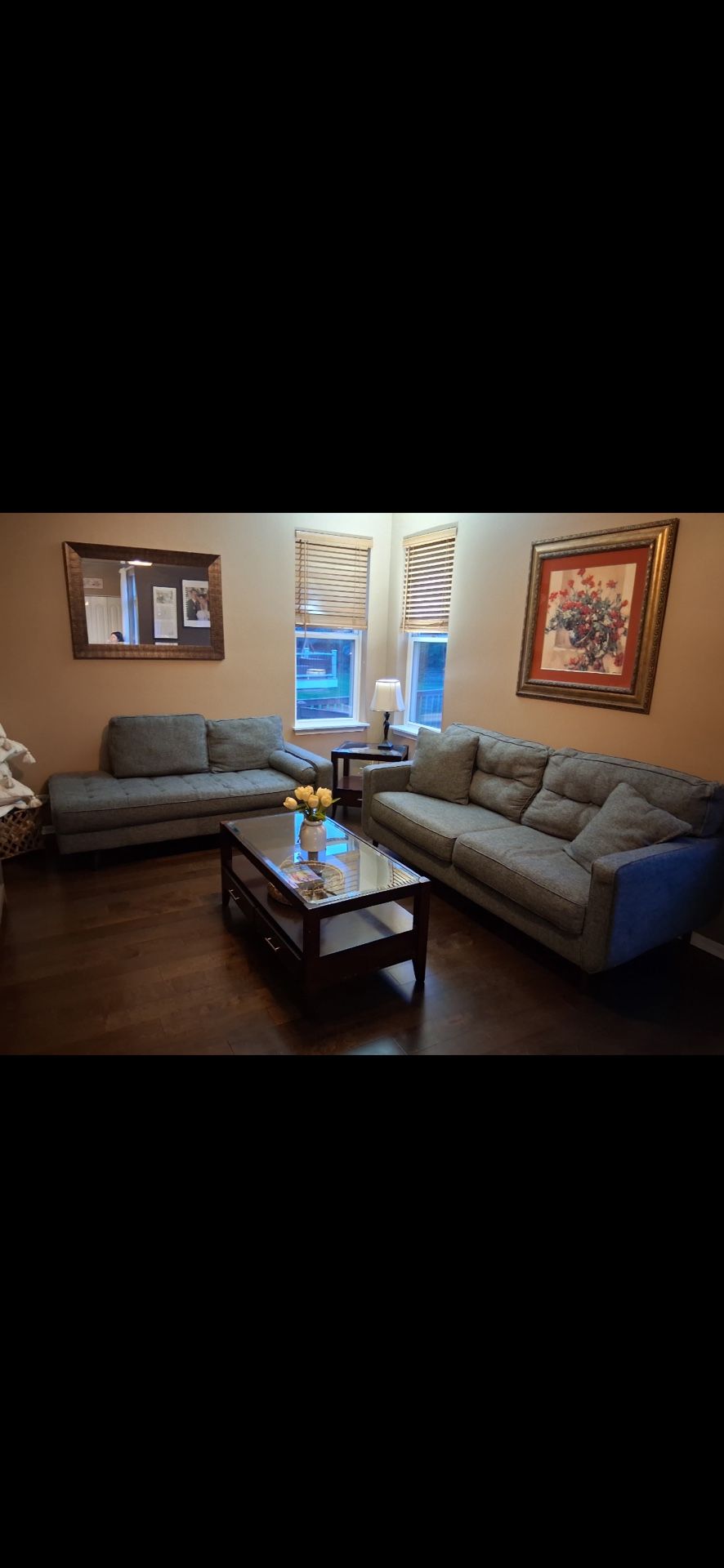 Couches for Sale