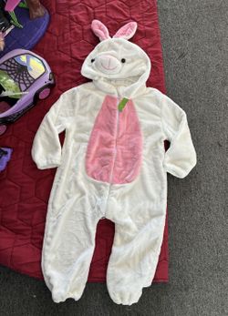 Easter Bunny Suit 