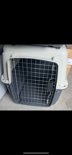 Dog Kennel