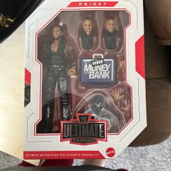 Wwe Toy