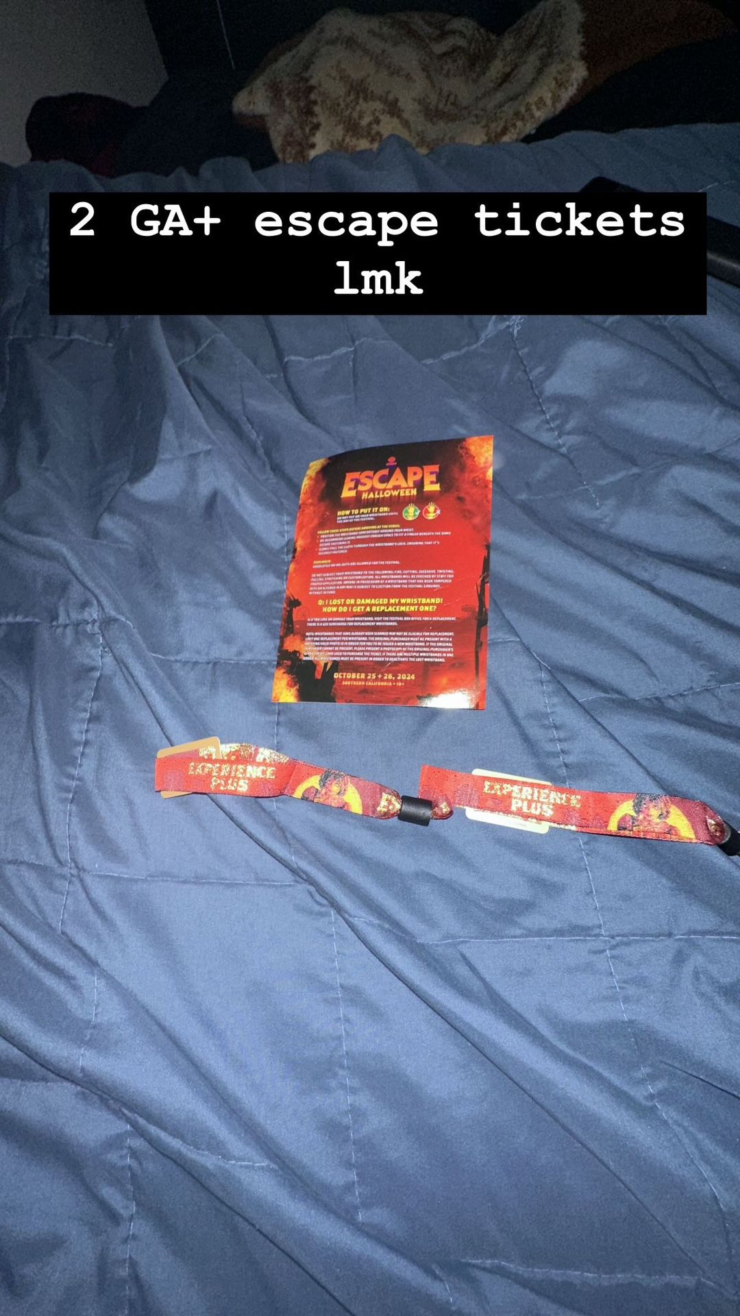 2 GA+ escape tickets both days