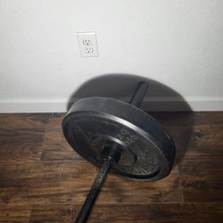 Exercise Weights  45lb / 20.4 Kg