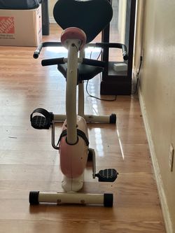 Sunny Pink magnetic recumbent bike