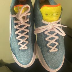Lebron XXIII