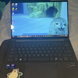 Asus Zenbook Laptop Oled