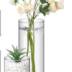 Clear Glass Cylinder Vases