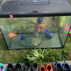 Fish Tank